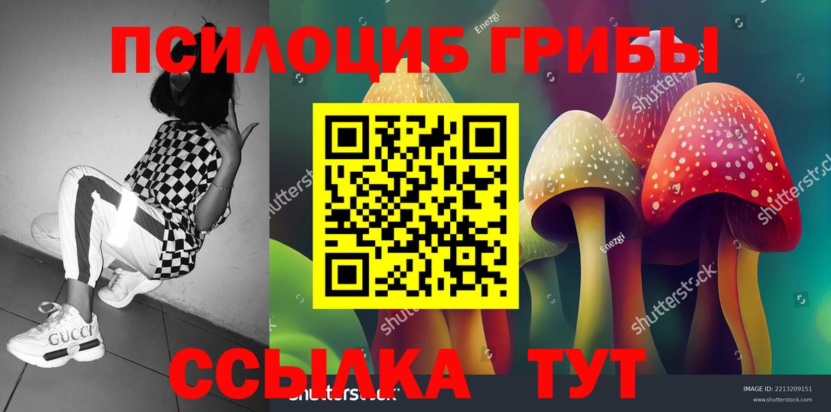 Галлюциногенные грибы Psilocybe Лангепас