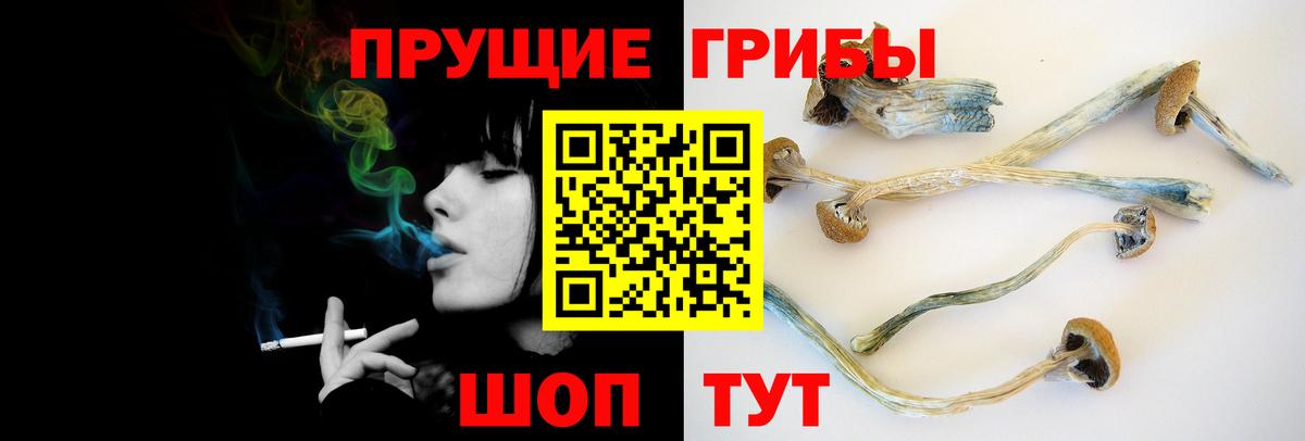 Лангепас  Псилоцибиновые грибы мицелий  Вход с VPN 